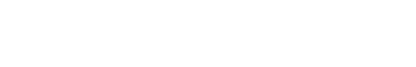 logo_bn_v2